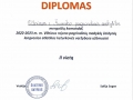 Diplomas-Mergaiciu-komandai-2022-2023-m.-m.-Vilniaus-rajono-pagrindiniu-mokyklu-zaidyniu-lengvosios-atletikos-keturkoves-varzybos_page-0001