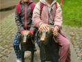 IMG_20250612_121811