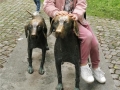 IMG_20250612_121826