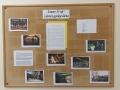 IMG_20240112_083225