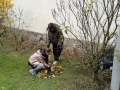 IMG_20221027_132607-1