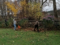 IMG_20221027_134410-2