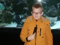 66